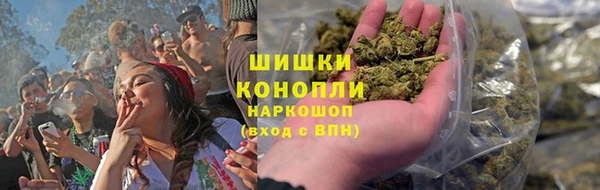 бошки Алексин