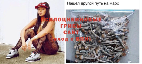 бошки Алексин