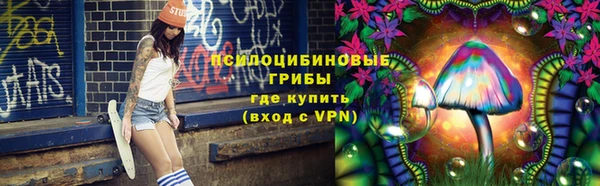 дурь Алзамай