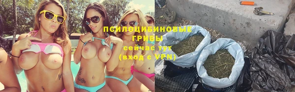бошки Алексин