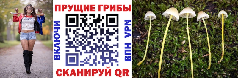 гидра ONION  Геленджик  Галлюциногенные грибы Magic Shrooms 